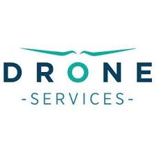 droneServices